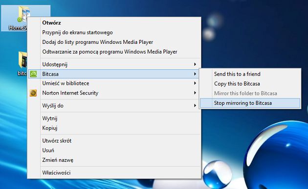 Bitcasa stop mirroring folders