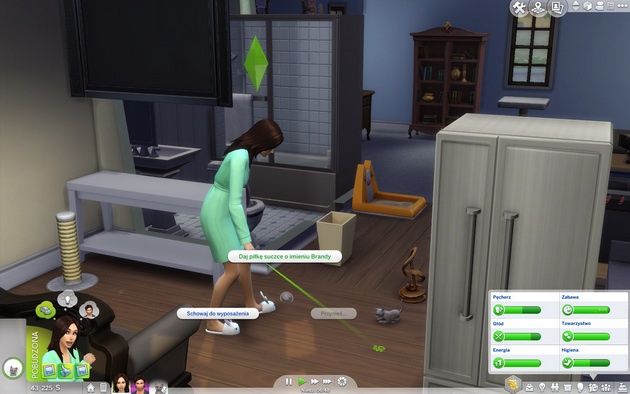 Poradnik do The Sims 4: Psy i koty - zabawa z kotem