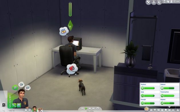 Poradnik do The Sims 4: Psy i koty - pies wymagający uwagi