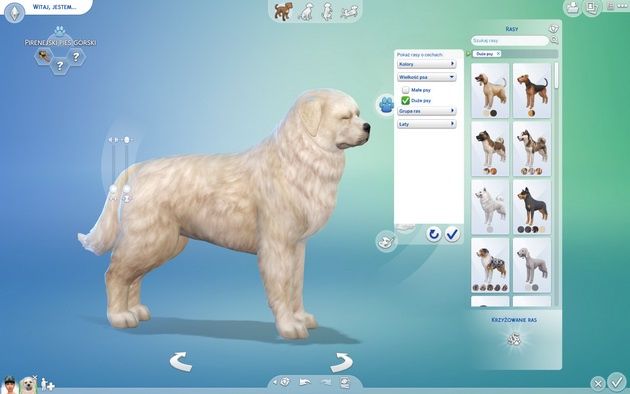 Poradnik do The Sims 4: Psy i koty - wybór rasy