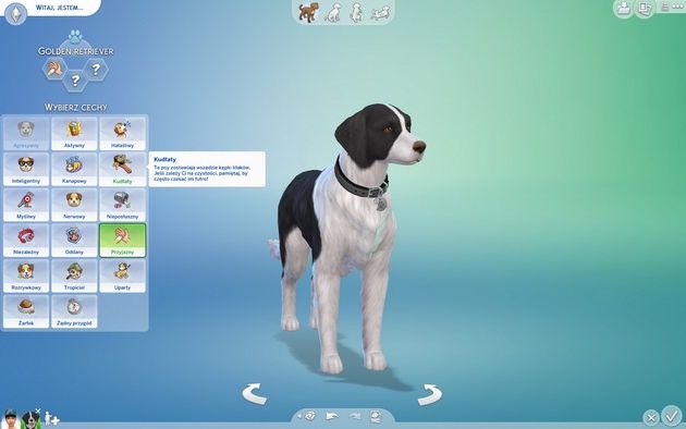 Poradnik do The Sims 4: Psy i koty - zakładka genetyka