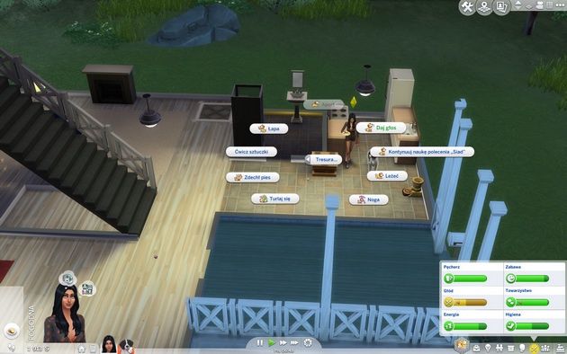 Poradnik do The Sims 4: Psy i koty - tresura psa