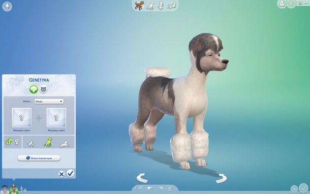 Poradnik do The Sims 4: Psy i koty - genetyka