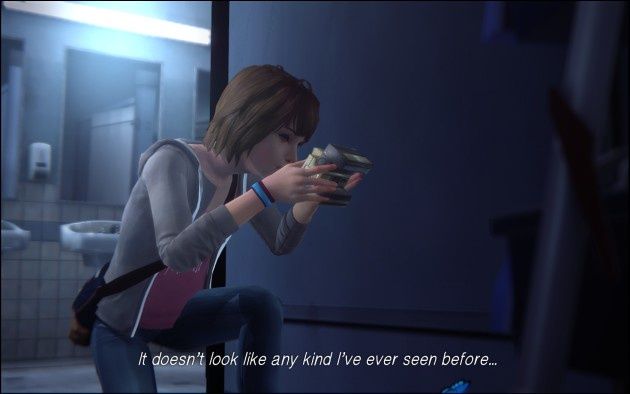 Life is Strange - robienie zdjęć