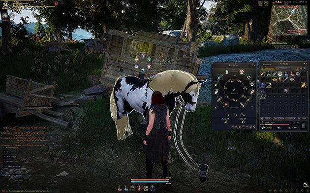 Black Desert
