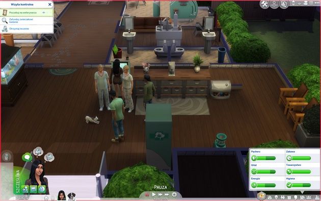 Poradnik do The Sims 4: Psy i koty - wizyta kontrolna u weterynarza