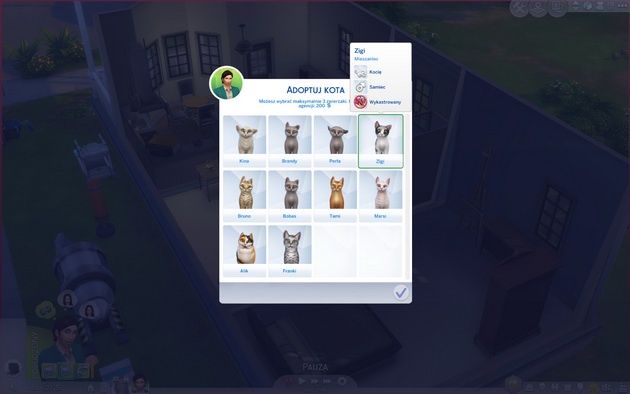 Poradnik do The Sims 4: Psy i koty - dodawanie zwierzęcia do rodziny