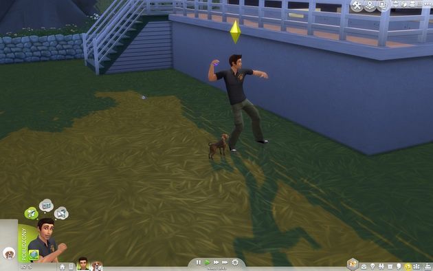Poradnik do The Sims 4: Psy i koty - rzucanie piłki psu