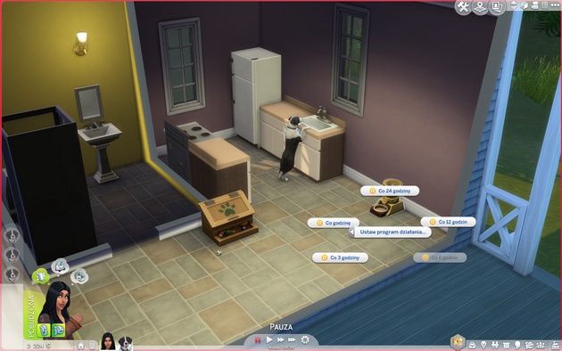 Poradnik do The Sims 4: Psy i koty - ustawianie automatycznego karmnika