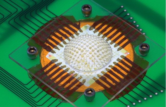 Oko mozaikowe wersja elektroniczna
