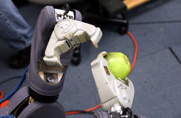 robot nauka