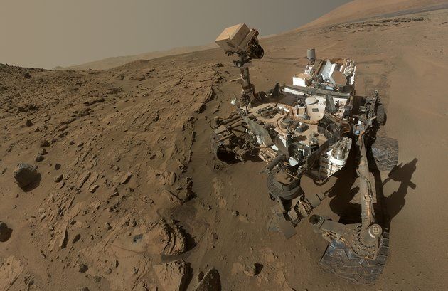 Curiosity selfie