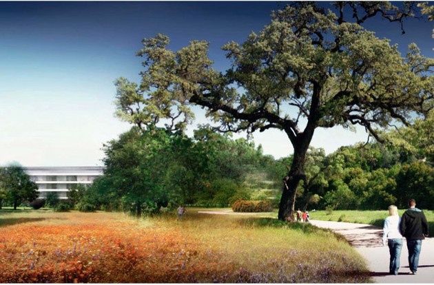 Apple Campus 2 drzewa