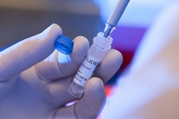 Dubaj DNA