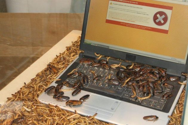 ESET najgroźniejsze wirusy ostatnich lat