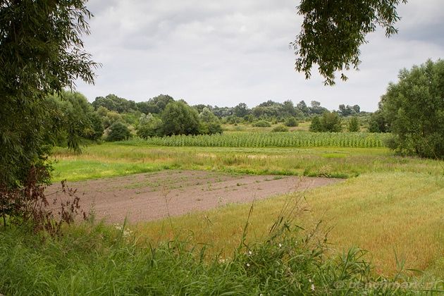Zdjęcie z aparatu EOS 7D