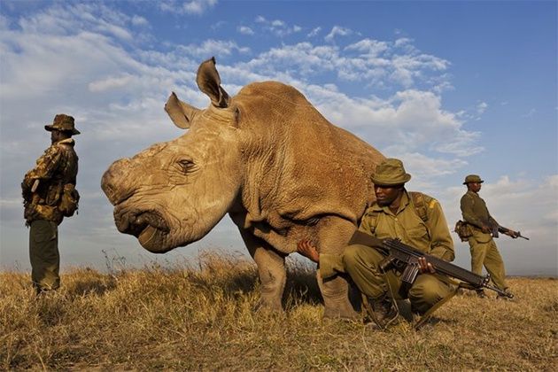 Brent Stirton