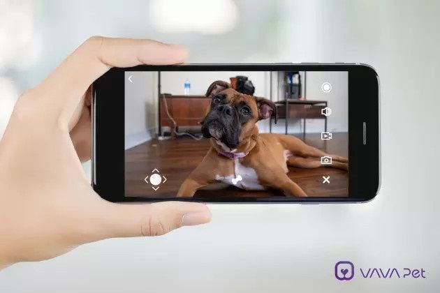 VAVA Pet app