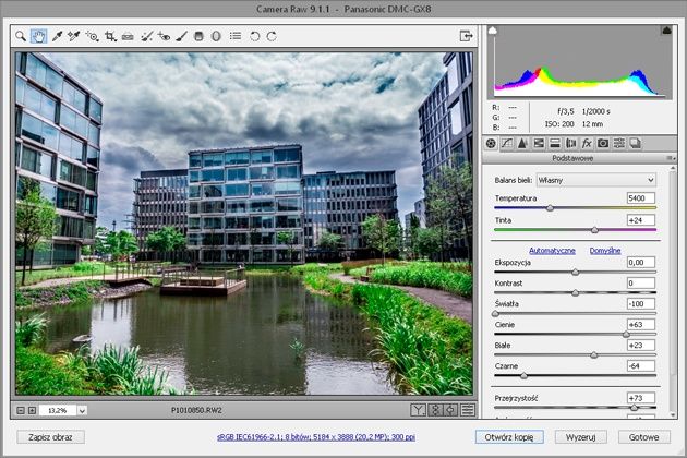 Adobe Camera RAW 9.1.1