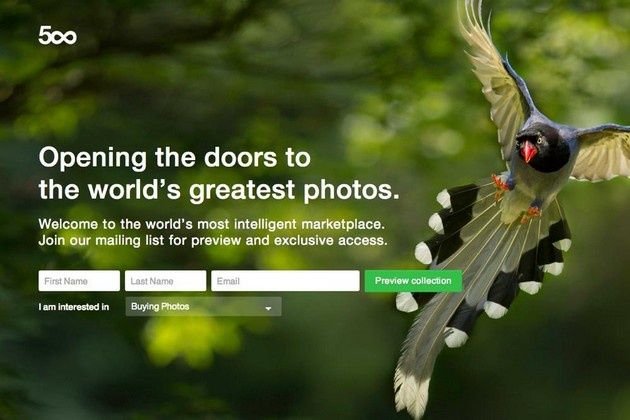 500px Prime logo