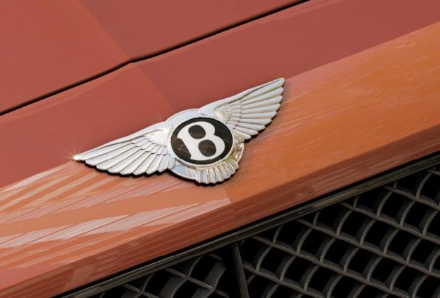 Bentley zbliżenie maksymalne