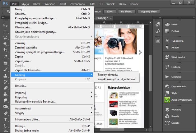 Adobe Generator