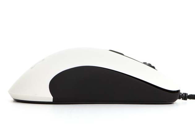 DM1 FPS z prawej strony