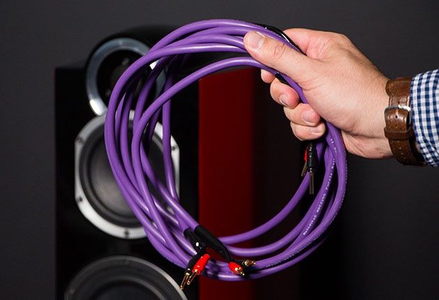 Tonsil Calipso 40 - kabel audio Melodika
