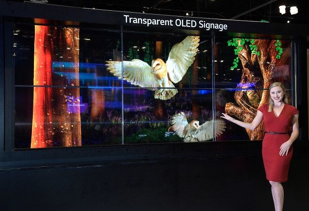 LG InfoComm Transparent OLED
