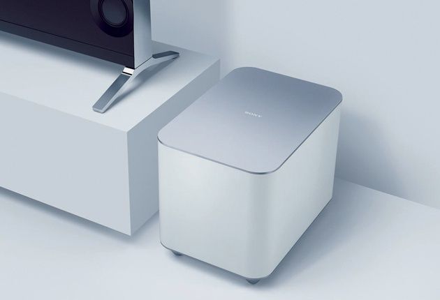 Sony SWF-BR100 wygląd