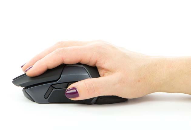 SteelSeries Rival 650 - palm grip