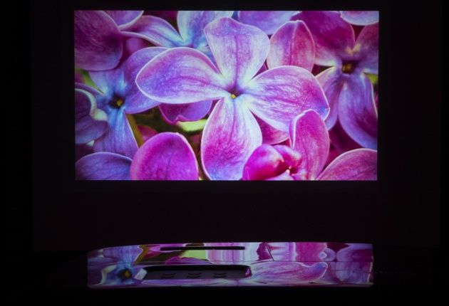 Optoma HD144X kwiaty