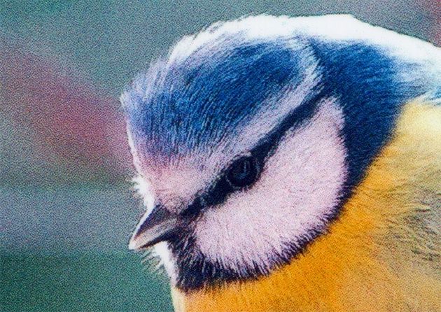 Zdjęcie jakość druku złe ustawienie