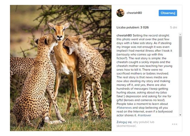 Instagram cheetah80