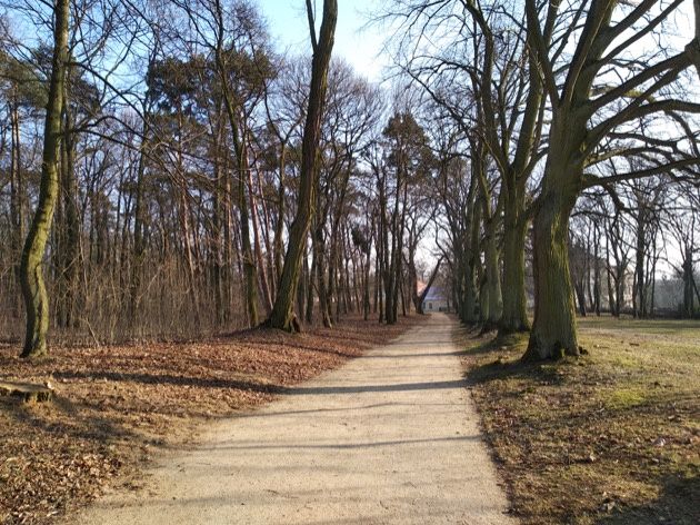 Xioami Redmi 5 zdjęcie park
