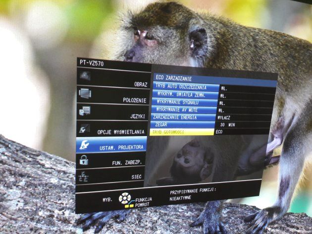 Panasonic PT-VZ570N ustawienia trybu Eco