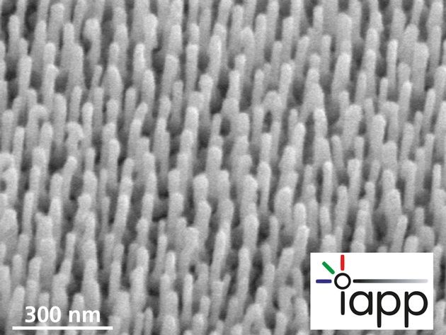 Siatka nanodrucików ze złota 30 nm średnicy