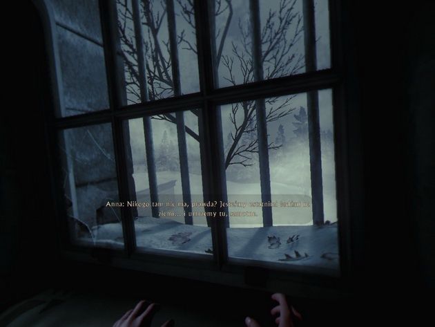 The Inpatient - wyglądanie przez okno