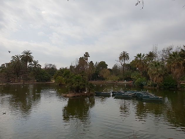 Samsung Galaxy S9+ zdjęcie 11