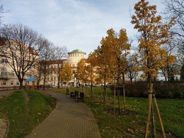HTC U11 life zdjęcie park
