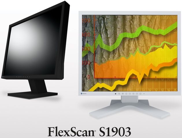 EIZO FlexScan S1903 monitor wygląd