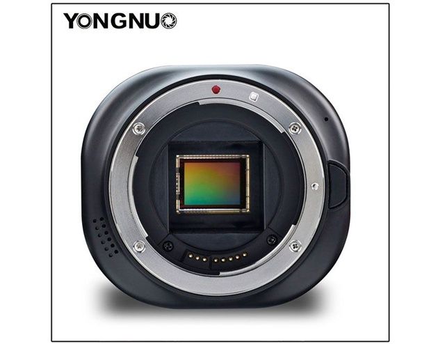 Yongnuo YN43
