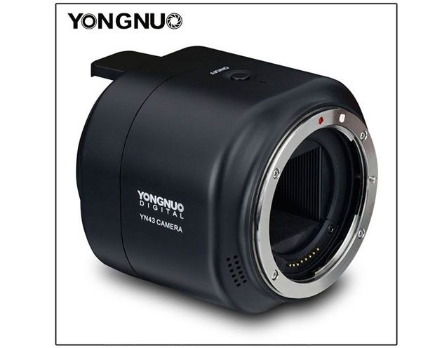 Yongnuo YN43 widok book