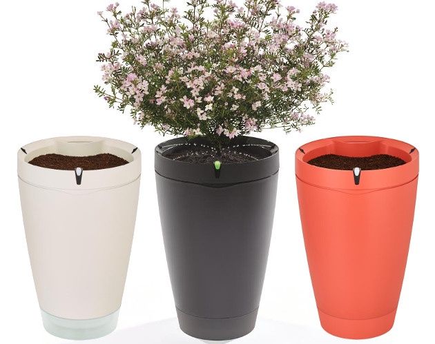 Parrot Pot doniczka