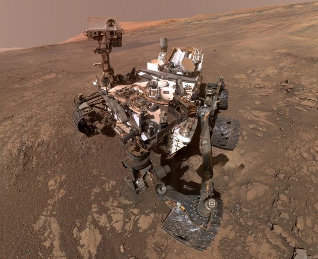 Curiosity selfie