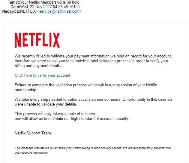 Netflix fake