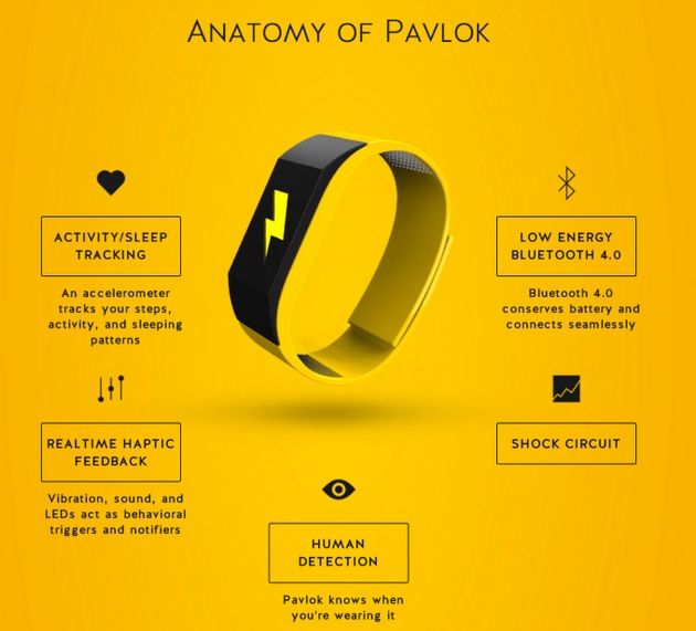 Pavlok cechy