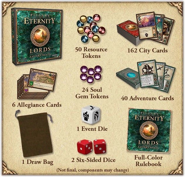 Pillars of Eternity karcianka zestaw