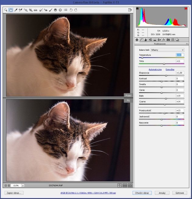 Adobe Camera RAW 8.4 RC przed po