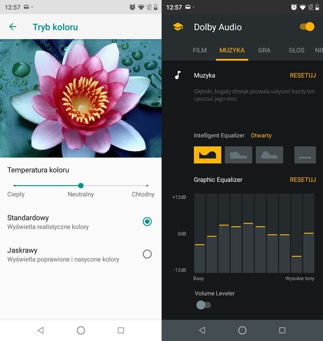 Motorola One kolor dolby
